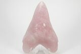 7.4" Realistic, Carved Rose Quartz Megalodon Tooth - Replica - Photo 3
